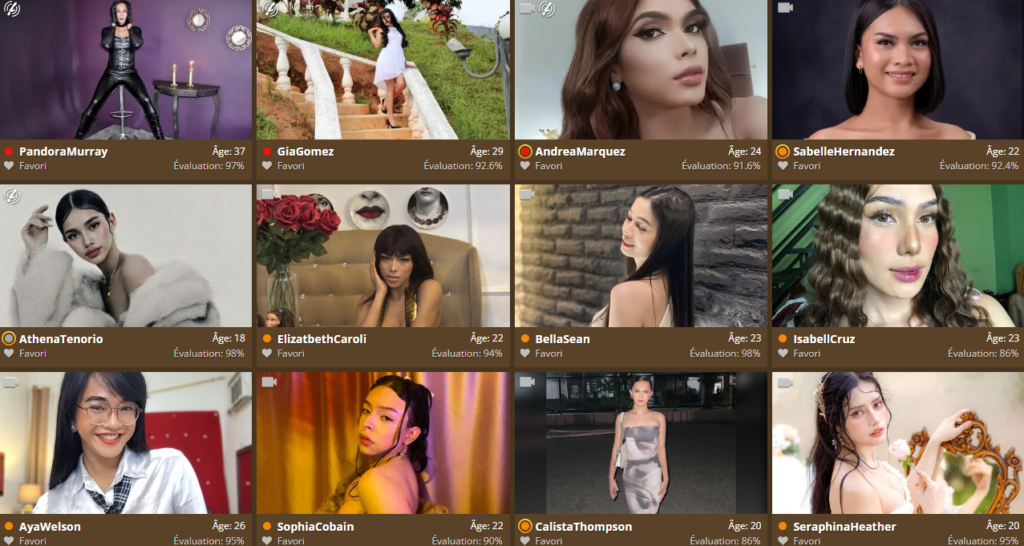 cam trans